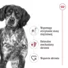 Sausas šunų ėdalas Royal Canin Medium Adult – vištiena ir kiauliena, 4 kg