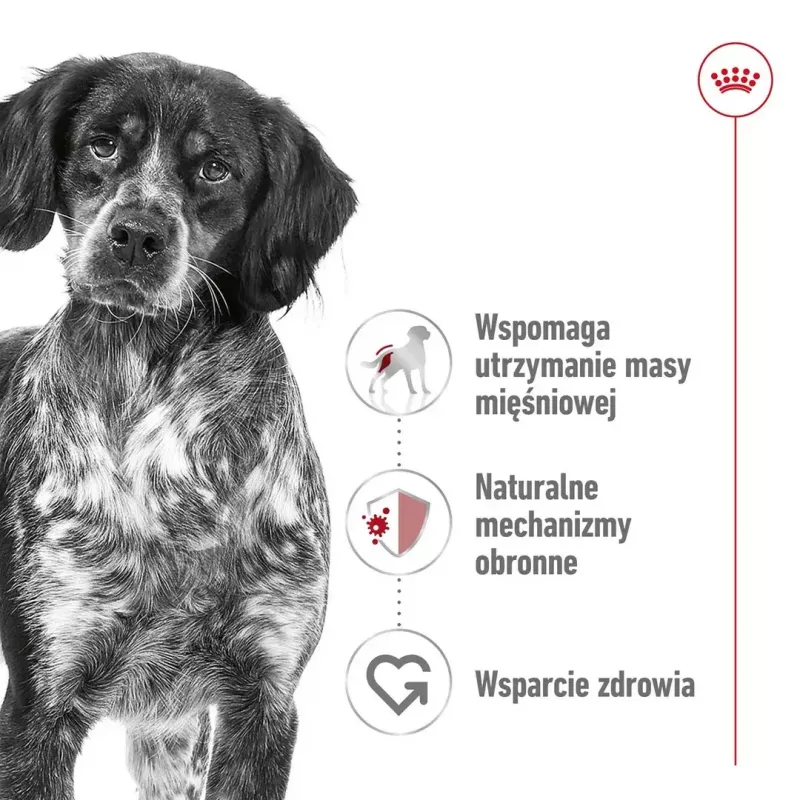 Sausas šunų ėdalas Royal Canin Medium Adult – vištiena ir kiauliena, 4 kg