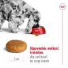 Sausas šunų ėdalas Royal Canin Medium Adult – vištiena ir kiauliena, 4 kg