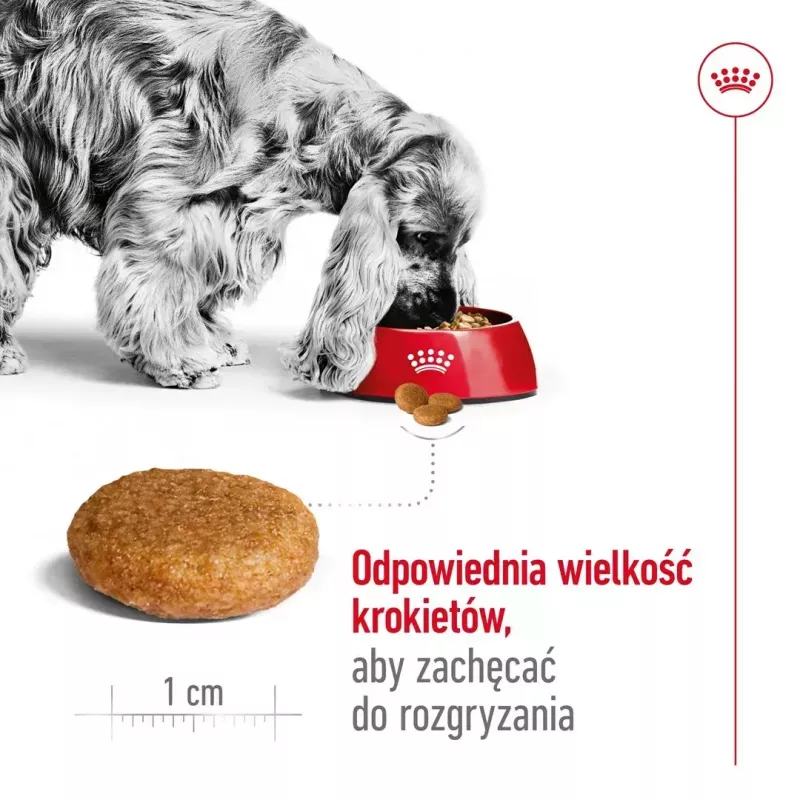 Sausas šunų ėdalas Royal Canin Medium Adult – vištiena ir kiauliena, 4 kg