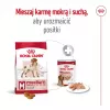 Sausas šunų ėdalas Royal Canin Medium Adult – vištiena ir kiauliena, 4 kg