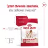 Sausas šunų ėdalas Royal Canin Medium Adult – vištiena ir kiauliena, 4 kg