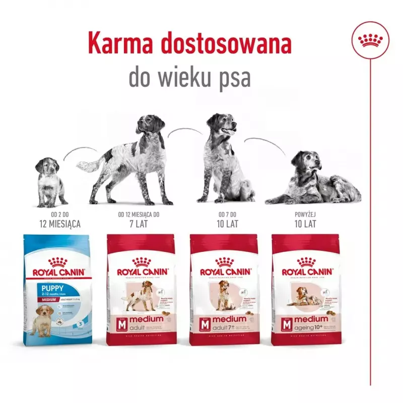 Sausas šunų ėdalas Royal Canin Medium Adult – vištiena ir kiauliena, 4 kg