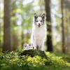 VETEXPERT RAW PALEO Puppy monoprotein su antiena, šlapias šuniukų ėdalas, 400 g