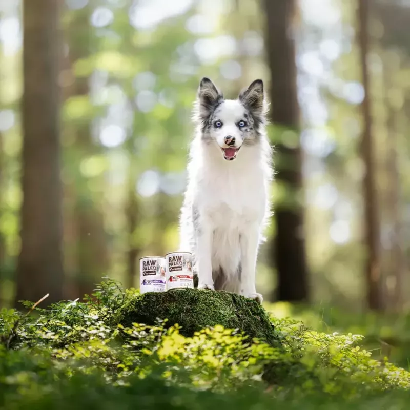VETEXPERT RAW PALEO Puppy monoprotein su antiena, šlapias šuniukų ėdalas, 400 g