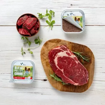 Šlapias šunų ėdalas VETEXPERT RAW PALEO Pate Mini Adult Beef 150 g – pilnavertis konservuotas paštetas mažų veislių suaugusiems šunims