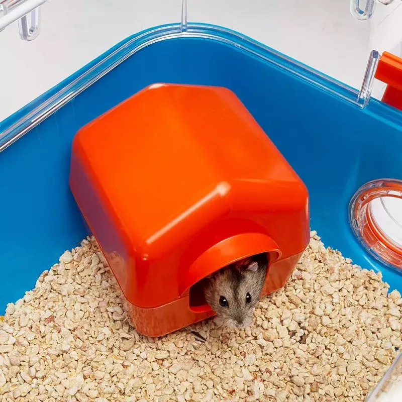 Narvelis žiurkėnams FERPLAST Combi 2, mėlynas permatomas, 795×295×263 mm, technopolimeras