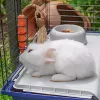 Narvelis triušiams FERPLAST Rabbit 120 Mėlynas – metalinis ir plastikinis triušių narvas 1180×585×495 mm, tinka 5–9,9 kg triušiams
