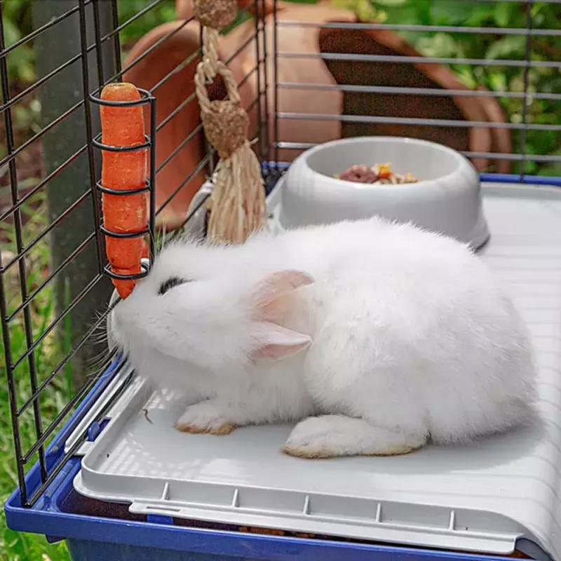 Narvelis triušiams FERPLAST Rabbit 120 Mėlynas – metalinis ir plastikinis triušių narvas 1180×585×495 mm, tinka 5–9,9 kg triušiams