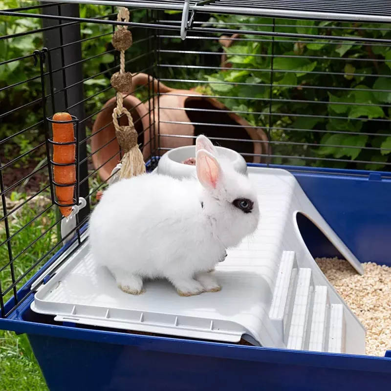 Narvelis triušiams FERPLAST Rabbit 120 Mėlynas – metalinis ir plastikinis triušių narvas 1180×585×495 mm, tinka 5–9,9 kg triušiams
