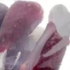 Kramtomas kaulas šunims MACED Presuotas kaulas su antiena 500 g – vieno ingrediento dantų priežiūros skanėstas