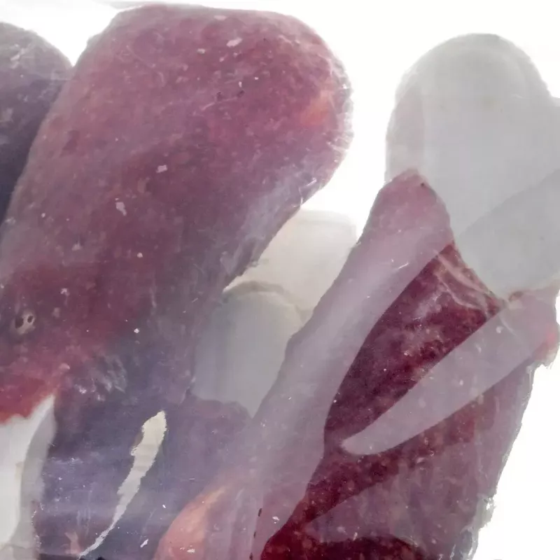 Kramtomas kaulas šunims MACED Presuotas kaulas su antiena 500 g – vieno ingrediento dantų priežiūros skanėstas