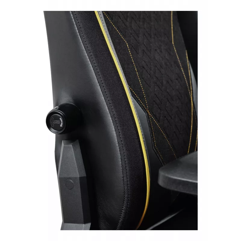 Universali žaidimų kėdė Trust GXT 721 Ruya Pro Juoda
