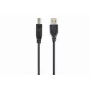 GEMBIRD USB 2.0 A-B laidas 2,0 m (6 pėdos) – juodas / urmu pakuotėje (ccp-USB2-ambm-6)