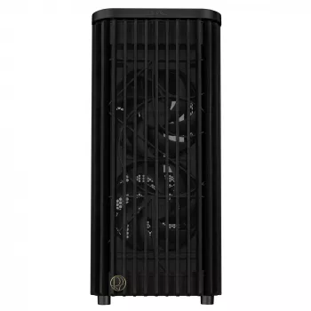 ASUS ProArt PA401 Juodas