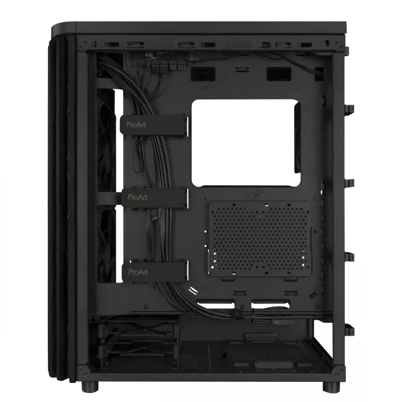 ASUS ProArt PA401 Juodas