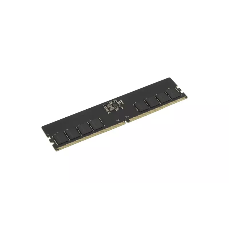 GOODRAM 16 GB DDR5-5600 CL46 DIMM atminties modulis (GR5600D564L46S/16G)