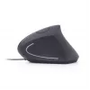 GEMBIRD MUS-ERGO-01 – ergonomiška optinė pelė su 6 mygtukais, USB, juoda