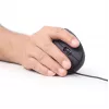 GEMBIRD MUS-ERGO-01 – ergonomiška optinė pelė su 6 mygtukais, USB, juoda