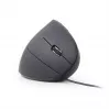 GEMBIRD MUS-ERGO-01 – ergonomiška optinė pelė su 6 mygtukais, USB, juoda