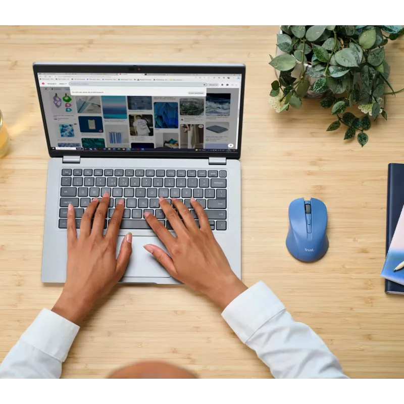 Trust Mydo pelė Office Ambidextrous RF Wireless Optinė 1800 DPI
