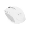 Trust Ozaa pelė Office, dešinei rankai, RF belaidė + Bluetooth, optinė, 3200 DPI