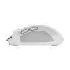Trust Ozaa pelė Office, dešinei rankai, RF belaidė + Bluetooth, optinė, 3200 DPI