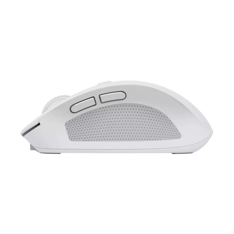 Trust Ozaa pelė Office, dešinei rankai, RF belaidė + Bluetooth, optinė, 3200 DPI