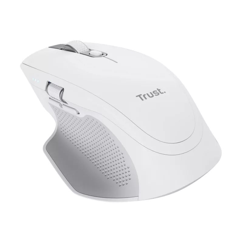 Trust Ozaa+ pelė biurui Dešinei rankai RF belaidė + Bluetooth Optinė 3200 DPI