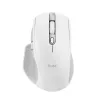 Trust Ozaa+ pelė biurui Dešinei rankai RF belaidė + Bluetooth Optinė 3200 DPI