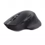 Trust Ozaa+ pelė Office dešinei rankai RF belaidė + Bluetooth optinė 3200 DPI