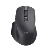 Trust Ozaa+ pelė Office dešinei rankai RF belaidė + Bluetooth optinė 3200 DPI