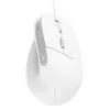 Trust Bayo II vertikali pelė, dešinei rankai, USB-A, optinė, 2400 DPI, balta