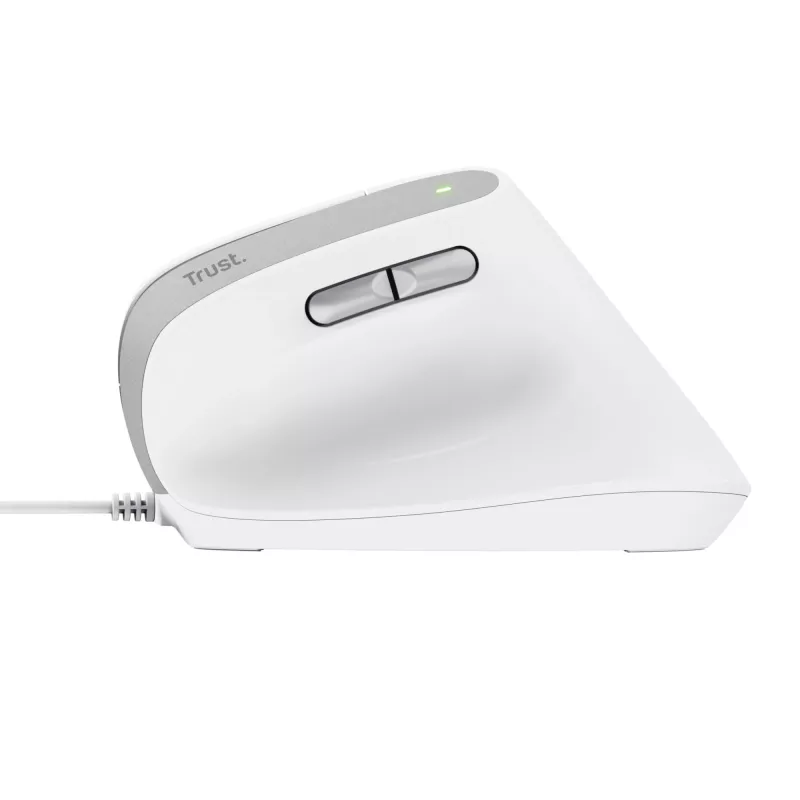 Trust Bayo II vertikali pelė, dešinei rankai, USB-A, optinė, 2400 DPI, balta
