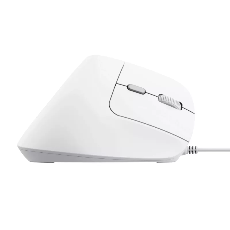 Trust Bayo II vertikali pelė, dešinei rankai, USB-A, optinė, 2400 DPI, balta