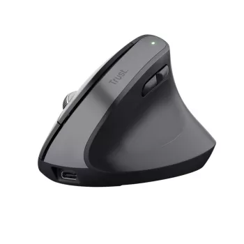 Trust Bayo+ pelė Office, dešiniajai rankai, RF belaidė + Bluetooth, optinė, 2400 DPI