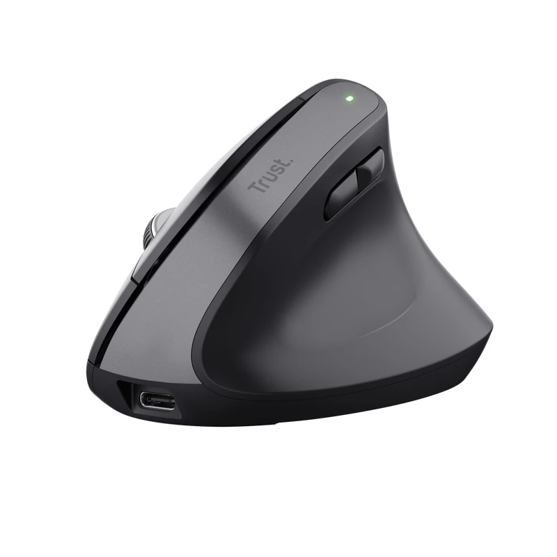 Trust Bayo+ pelė Office, dešiniajai rankai, RF belaidė + Bluetooth, optinė, 2400 DPI