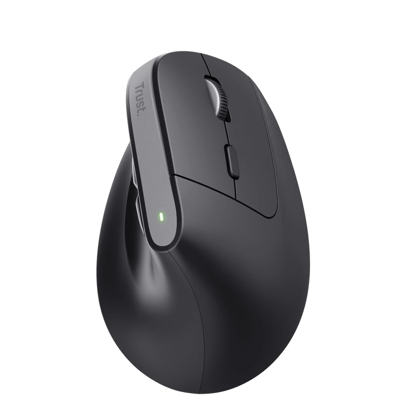 Trust Bayo+ pelė Office, dešiniajai rankai, RF belaidė + Bluetooth, optinė, 2400 DPI