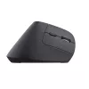 Trust Bayo+ pelė Office, dešiniajai rankai, RF belaidė + Bluetooth, optinė, 2400 DPI