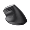 Trust Bayo+ pelė Office, dešiniajai rankai, RF belaidė + Bluetooth, optinė, 2400 DPI