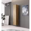 Pakabinama spinta Cama Meble VIGO 180, 1800×400×300 mm, Wotan ąžuolas