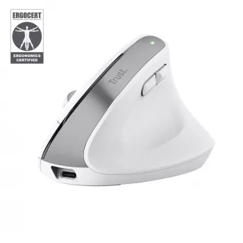 Trust Bayo+ pelė Office, dešinei rankai, RF belaidė + Bluetooth, optinė 2400 DPI
