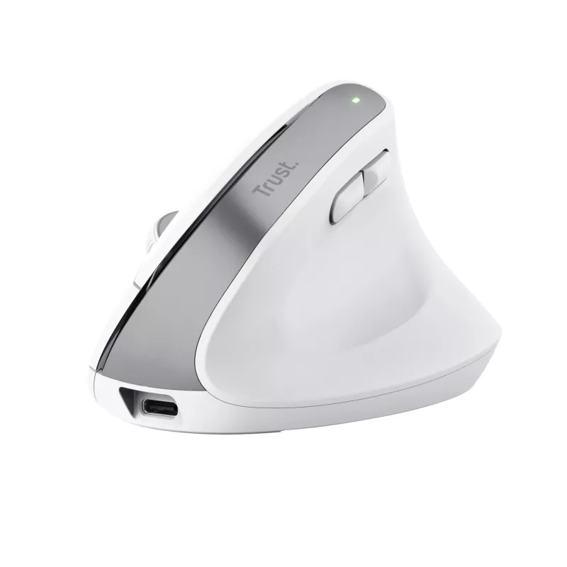 Trust Bayo+ pelė Office, dešinei rankai, RF belaidė + Bluetooth, optinė 2400 DPI