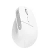 Trust Bayo+ pelė Office, dešinei rankai, RF belaidė + Bluetooth, optinė 2400 DPI