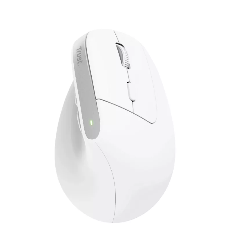 Trust Bayo+ pelė Office, dešinei rankai, RF belaidė + Bluetooth, optinė 2400 DPI