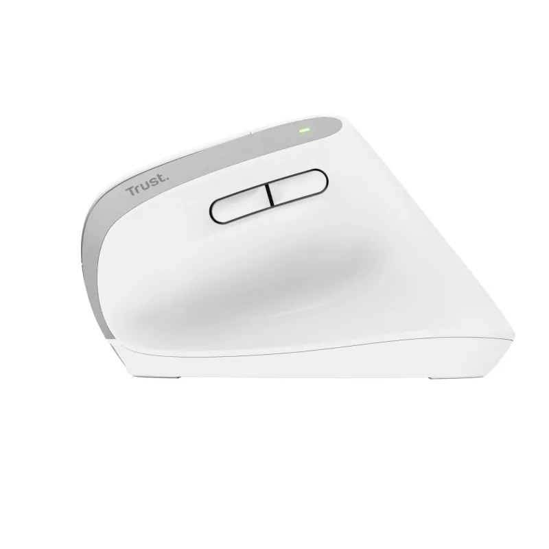 Trust Bayo+ pelė Office, dešinei rankai, RF belaidė + Bluetooth, optinė 2400 DPI