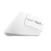Trust Bayo+ pelė Office, dešinei rankai, RF belaidė + Bluetooth, optinė 2400 DPI