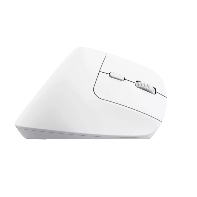 Trust Bayo+ pelė Office, dešinei rankai, RF belaidė + Bluetooth, optinė 2400 DPI
