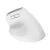 Trust Bayo+ pelė Office, dešinei rankai, RF belaidė + Bluetooth, optinė 2400 DPI