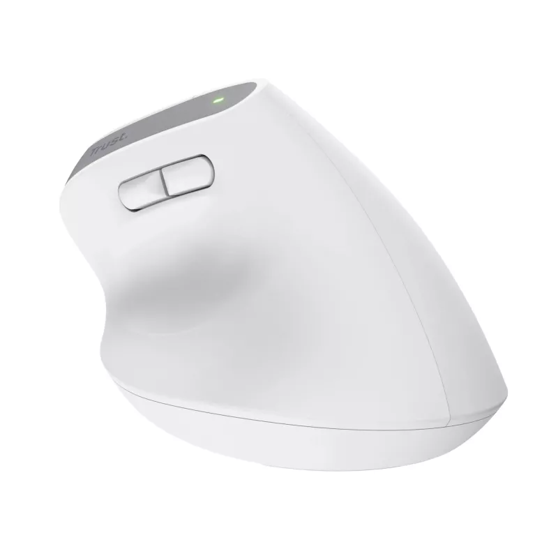 Trust Bayo+ pelė Office, dešinei rankai, RF belaidė + Bluetooth, optinė 2400 DPI